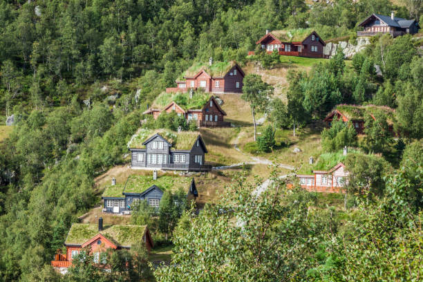istock Typical norwegian house with grass on the roof 968591040