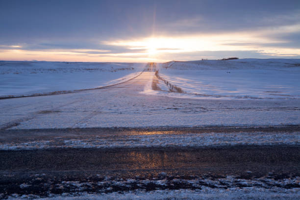 큰사슴 턱 서스캐처원 캐나다의 측면을 그냥 밖으로 겨울 시간 고속도로 - saskatchewan highway road trip scenics 뉴스 사진 이미지