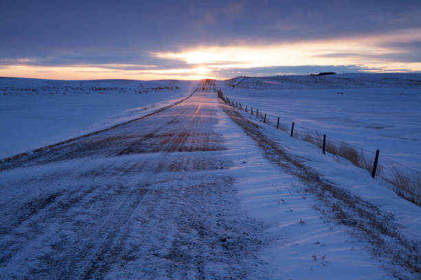 autostrada invernale appena fuori dal lato della mascella alce saskatchewan canada - saskatchewan highway road trip scenics foto e immagini stock