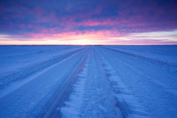 autostrada invernale appena fuori dal lato della mascella alce saskatchewan canada - saskatchewan highway road trip scenics foto e immagini stock