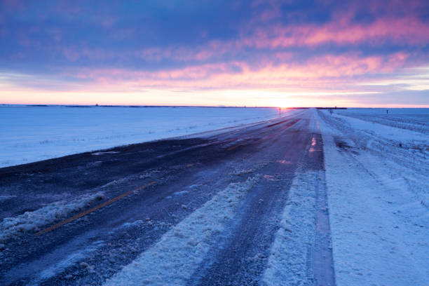 autostrada invernale appena fuori dal lato della mascella alce saskatchewan canada - saskatchewan highway road trip scenics foto e immagini stock