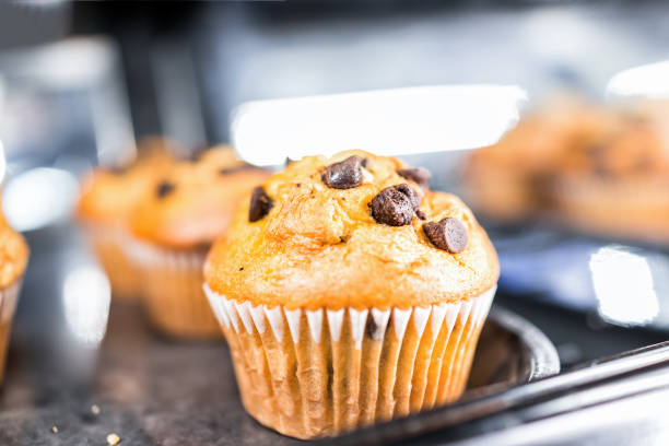 Macro closeup of one chocolate chip vanilla muffin in paper liner, pastry dessert sweets for continental breakfast, on tray display in cafe, store