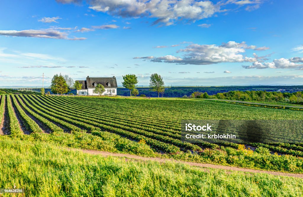 Landscape view of farm in Ile D'Orleans, Quebec, Canada with house Quebec Stock Photo