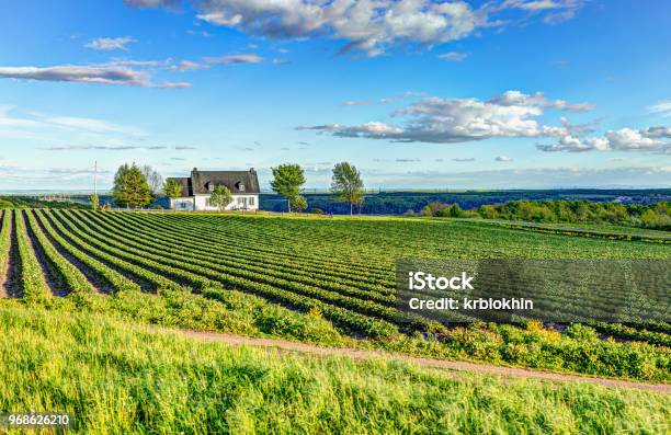 Landscape View Of Farm In Ile Dorleans Quebec Canada With House Stock Photo - Download Image Now