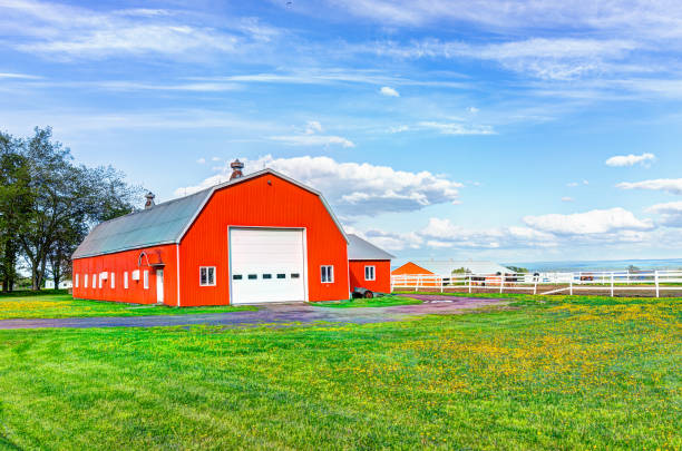 Red orange painted barn shed with white doors in summer landscape field in countryside