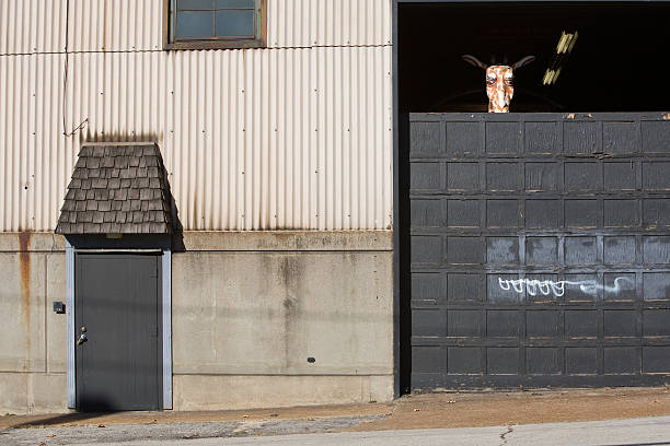 istock Giraffe head peers over warehouse door 96862973