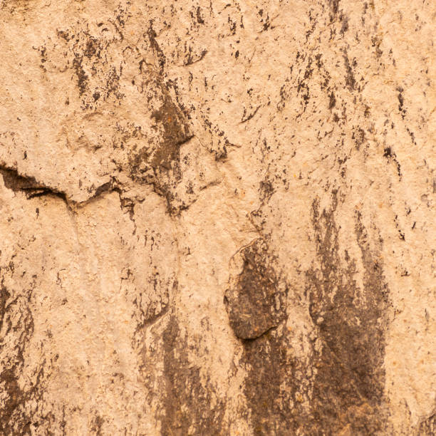 istock Neutral tan and beige abstract textured stone background 968633470