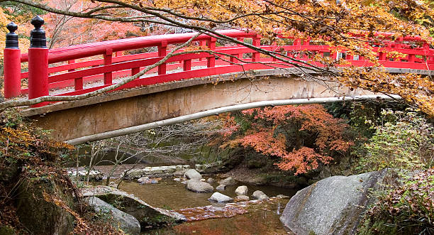 Japanese Footbridge stock photo