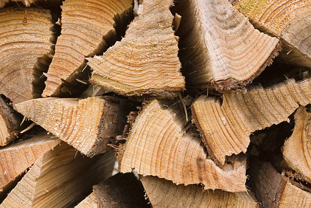 Firewood stock photo