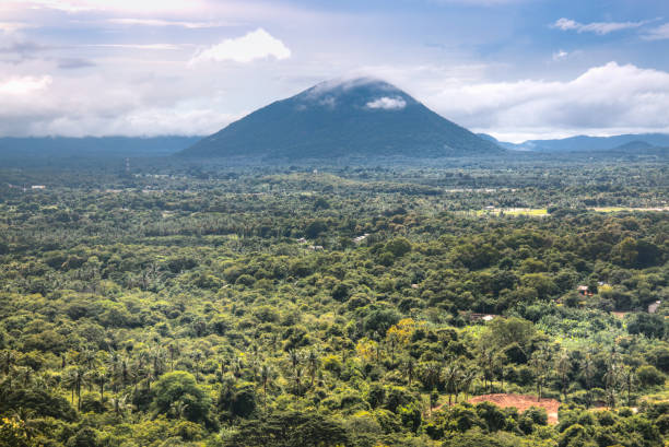 istock View over the jungle in Dambulla, Sri Lanka 968652578