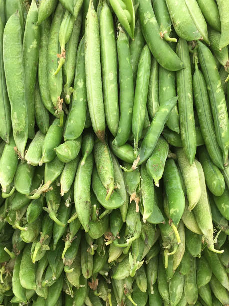 Stack of green pea
