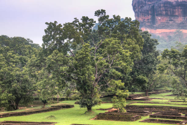 istock Lion's rock in Sigiriya, Sri Lanka 968655258