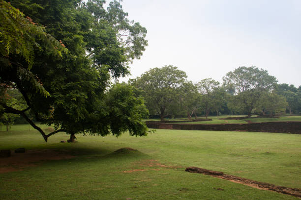 istock Lion's rock in Sigiriya, Sri Lanka 968655288