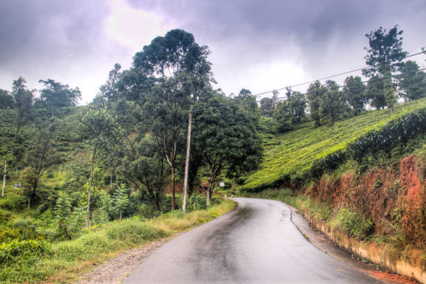istock Amazing landscapes in Kandy, Sri Lanka 968657694