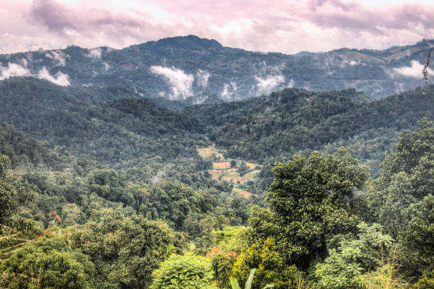 istock Amazing landscapes in Kandy, Sri Lanka 968657728