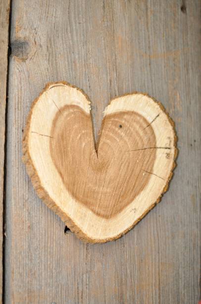 istock Wood in shape of heart 968660052