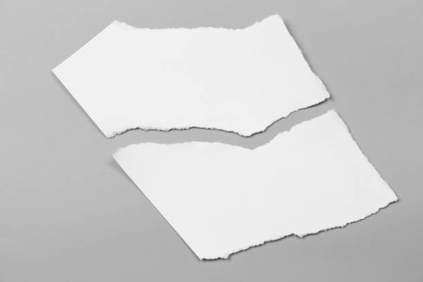 istock white torn paper on gray background. collection paper rip 968677338