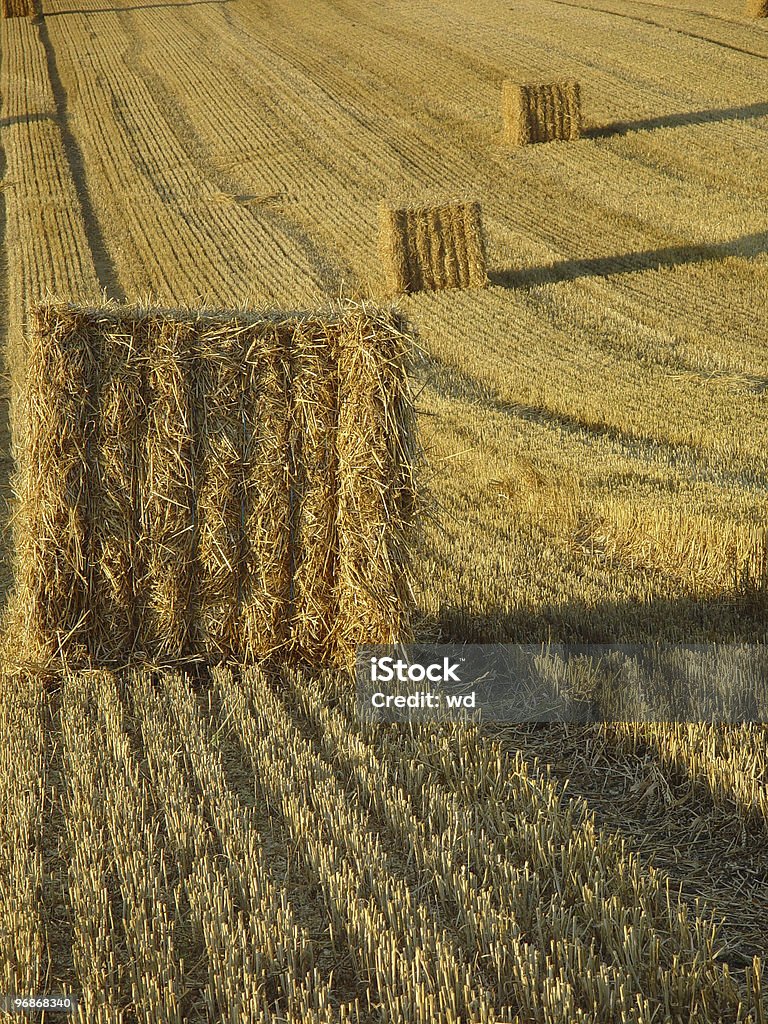 Fieno bales - Foto stock royalty-free di Ambientazione esterna