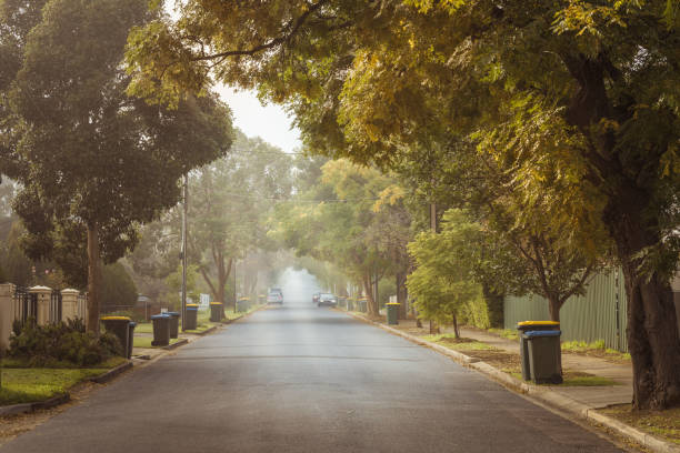 pagi musim gugur berkabut australia di pinggiran kota adelaide dengan daur ulang sampah di kerb - pinggiran kota potret stok, foto, & gambar bebas royalti