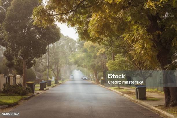 Australian Foggy Autumn Morning In Adelaide Suburbs With Rubbish Recycling On Kerb Stock Photo - Download Image Now