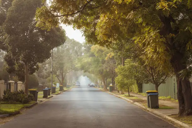 Photo of Australian foggy autumn morning in Adelaide suburbs with rubbish recycling on kerb