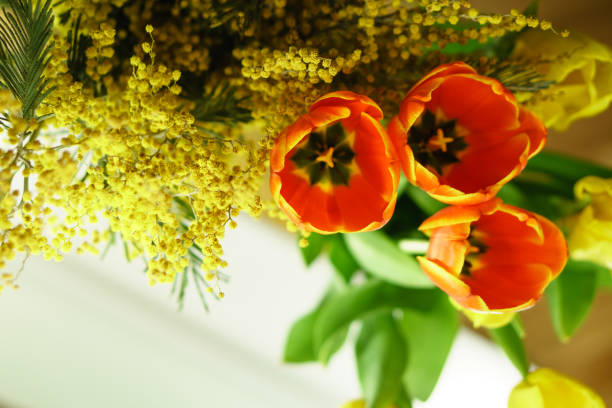 istock Flower bouquet. Tulips and mimosa 968709566