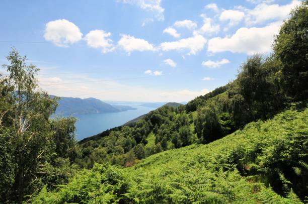 istock landscape lake maggiore 968709602