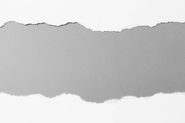 istock white torn paper on gray background. collection paper rip 968713936