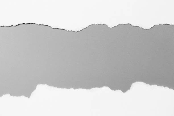 istock white torn paper on gray background. collection paper rip 968714062