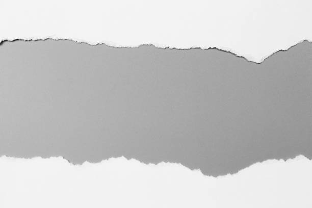 istock white torn paper on gray background. collection paper rip 968714428