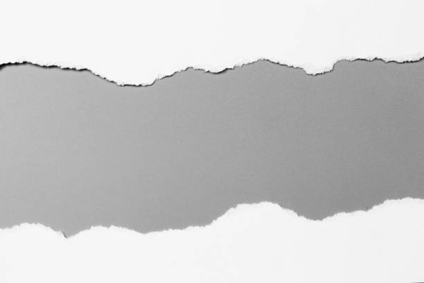 istock white torn paper on gray background. collection paper rip 968714480