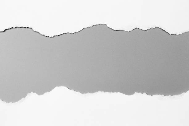 istock white torn paper on gray background. collection paper rip 968719238