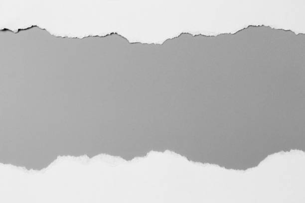 istock white torn paper on gray background. collection paper rip 968719252