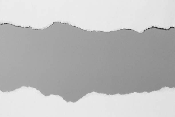 istock white torn paper on gray background. collection paper rip 968723522