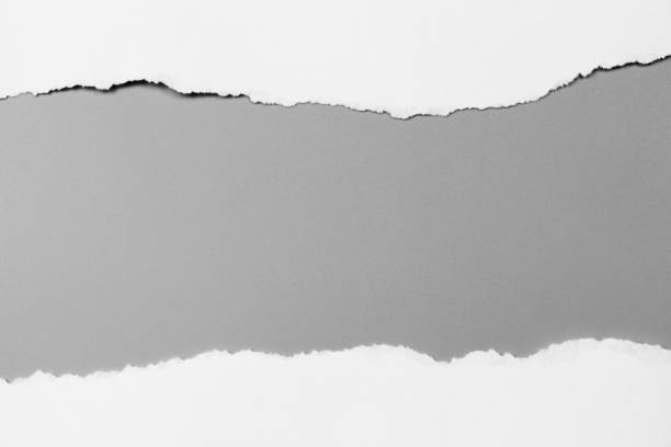 istock white torn paper on gray background. collection paper rip 968723618