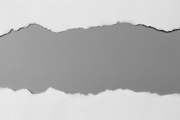 istock white torn paper on gray background. collection paper rip 968723874