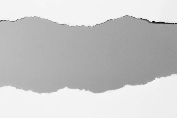istock white torn paper on gray background. collection paper rip 968726134