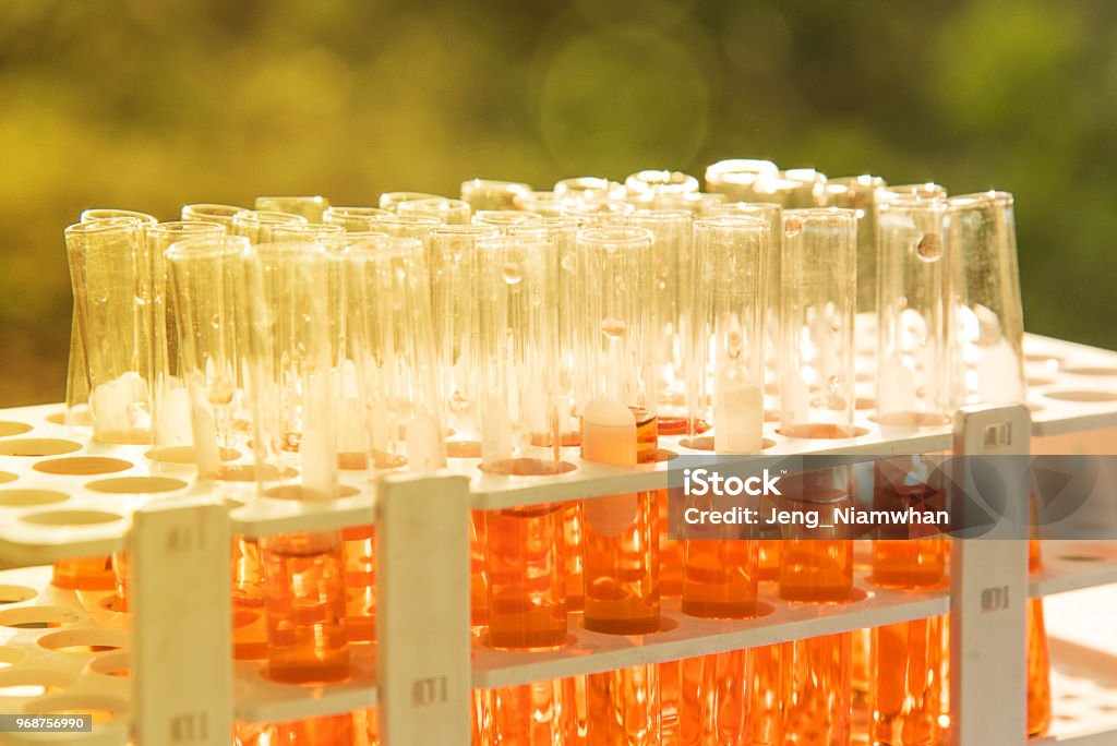 Lab science research Lab science research glass items adding drop to one of several test tubes. A scientific experiment in a science research Laboratory. Analyzing Stock Photo