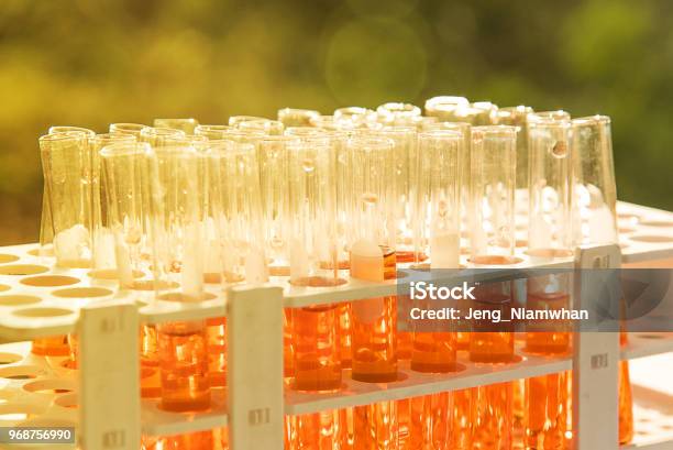 Lab Science Research Stock Photo - Download Image Now - Analyzing, Biochemistry, Biology