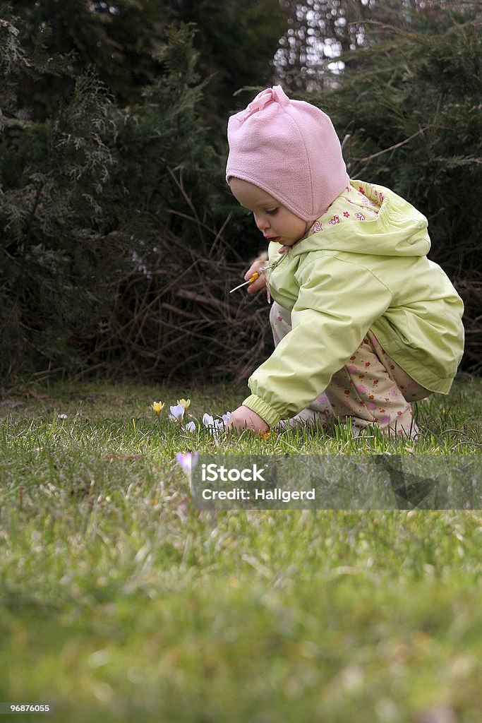 スプリングの赤ちゃん - カラー画像のロイヤリティフリーストックフォト