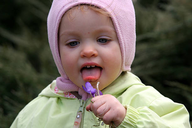 スプリングの赤ちゃん - toddler child animal tongue human tongue ストックフォトと画像