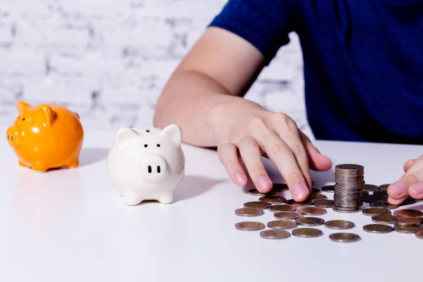 Young man collecting money coins and allocate coins into categories - risk management and investment concept. Young man collecting money coins and allocate coins into categories - risk management and investment concept allocate stock pictures, royalty-free photos & images