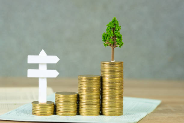 Tree growing on pile of golden coins and account book or credit cart and white wooden board sign, growth business finance investment and Corporate Social Responsibility or CSR practice and sustainable development concept idea. Árbol que crece en pila de monedas de oro y libro de cuentas o carro crédito y muestra de tablero de madera blanco, financiar inversiones de crecimiento empresarial y práctica de responsabilidad social corporativa o rsc y concepto de desarrollo sostenib