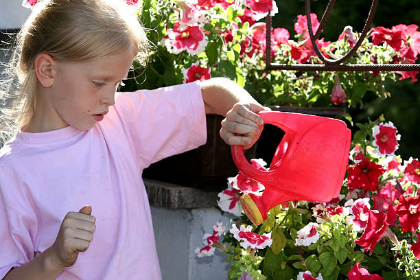 gloxinia - formal garden ornamental garden child single flower photos et images de collection