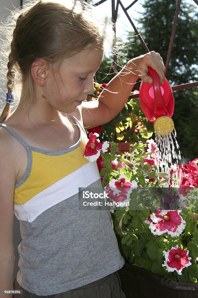 Gloxinie - Lizenzfrei Baumblüte Stock-Foto