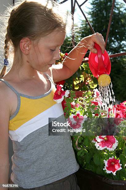 Gloxinie Stockfoto und mehr Bilder von Baumblüte - Baumblüte, Bewässern, Blatt - Pflanzenbestandteile