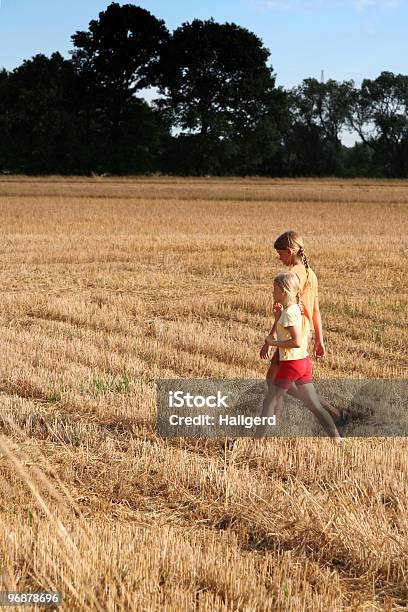 Nach Der Ernte Stockfoto und mehr Bilder von Abendball - Abendball, Agrarbetrieb, August