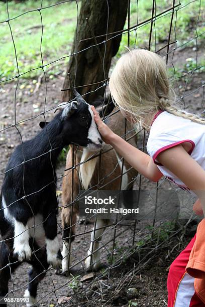 Foto de No Zoo e mais fotos de stock de Acabando - Acabando, Acariciar, Adolescente