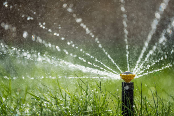 istock Sprinkler in action watering grass 968792690
