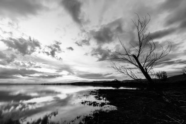 istock Lake shore at sunset, with perfect reflections of some clouds on 968802318